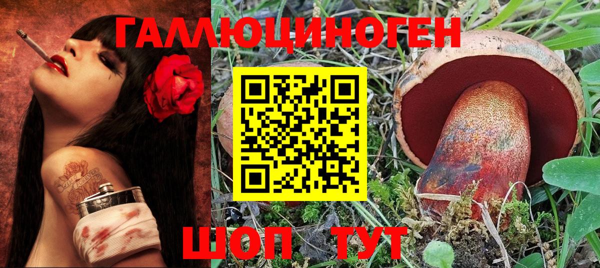 Галлюциногенные грибы Psilocybe Кубинка
