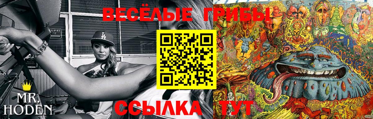 Кубинка  Псилоцибиновые грибы Magic Shrooms  Вход с VPN 